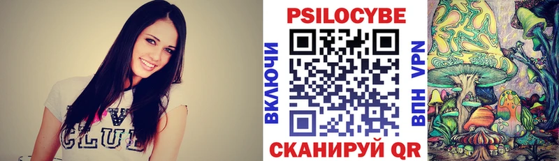 Псилоцибиновые грибы Cubensis  Купить где  Чаплыгин 